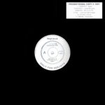 PROMOTIONAL COPY 1991