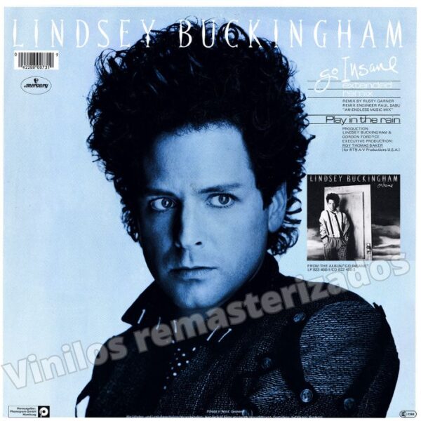 Lindsey Buckingham - Go Insane - Imagen 2