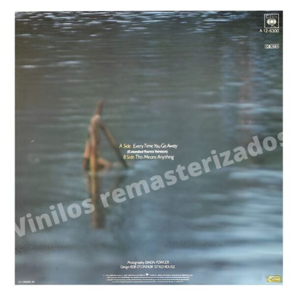 Paul Young - Every Time You Go Away - Imagen 2