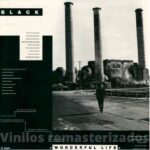 Black – Wonderful Life