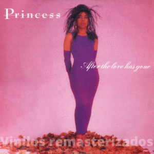 Princess - After The Love Has Gone