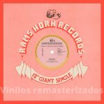 The Flirts – Passion (Special R.E.M.I.X.E.D. Version)