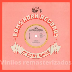 The Flirts - Passion (Special R.E.M.I.X.E.D. Version)