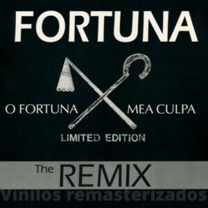 Fortuna Feat. Satenig - O Fortuna Mea Culpa (Remix)