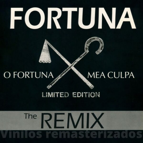 Fortuna Feat. Satenig - O Fortuna Mea Culpa (Remix)